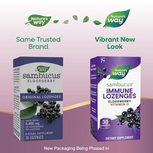 Nature's Way Sambucus Immune Lozenges - Vitamin C - Black Elderberry Extract