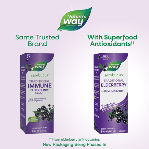 Nature's Way Sambucus Traditional Elderberry Immune Syrup - Traditional Immune Support