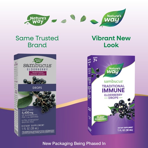 Nature's Way Sambucus Traditional Immune Elderberry Drops - Elderberry Extract