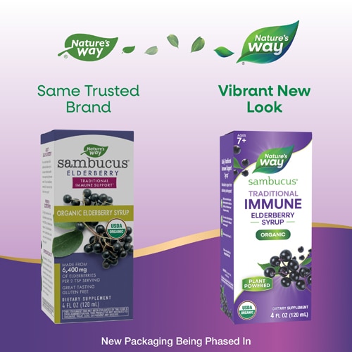 Nature's Way Sambucus Traditional Immune Elderberry Syrup - Organic Elderberry Extract