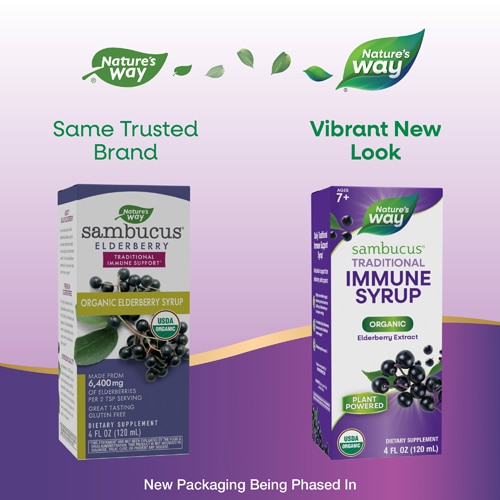 Nature's Way Sambucus Traditional Immune Syrup - Organic Black Elderberry Extract