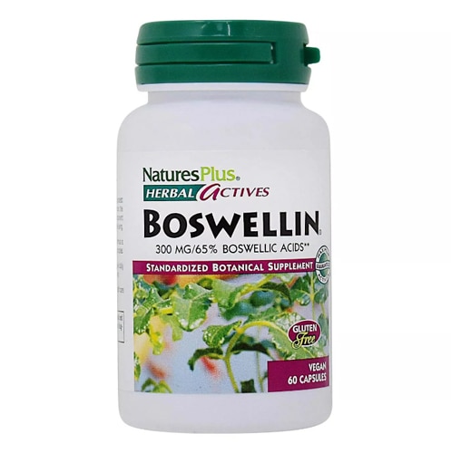 NaturesPlus Herbal Actives Boswellin®