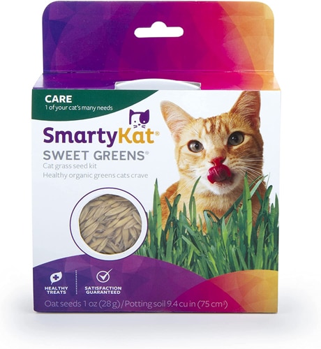 SmartyKat Sweet Greens Organic Oat Cat Grass Grow Kit