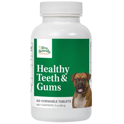 Terry Naturally Animal Health Dog Healthy Teeth & Gums