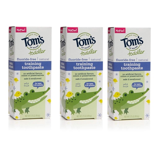 Tom's of Maine Toddler Training Toothpaste Fluoride-Free Mild Fruit