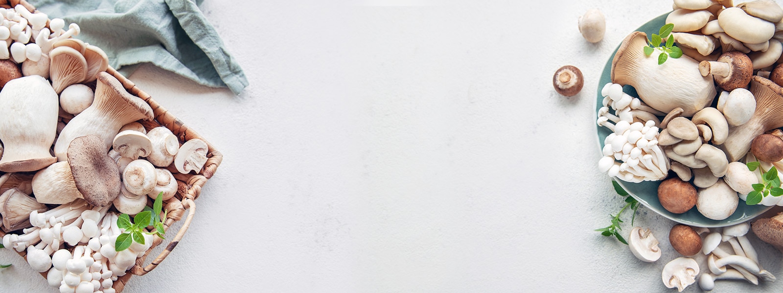 mushrooms background