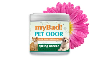 My Bad odor eliminating gel